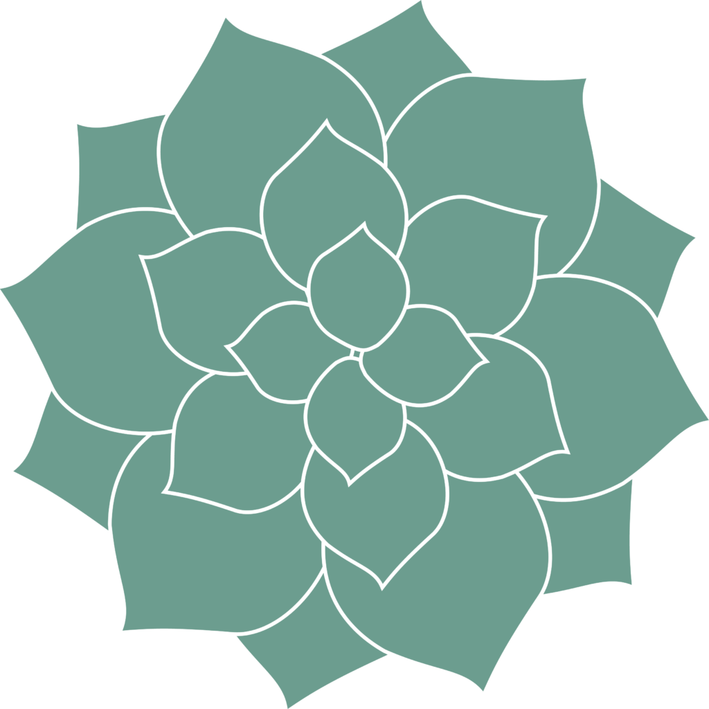 presenceAndCo - succulentOnly-greenLeaves